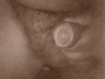 alain60000 Photo