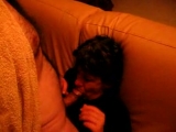 Ma coquine - Amatrys -