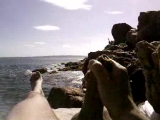 exhib plage - Amatrys -