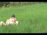 vive la nature - Amatrys -