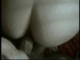levrette - Amatrys -